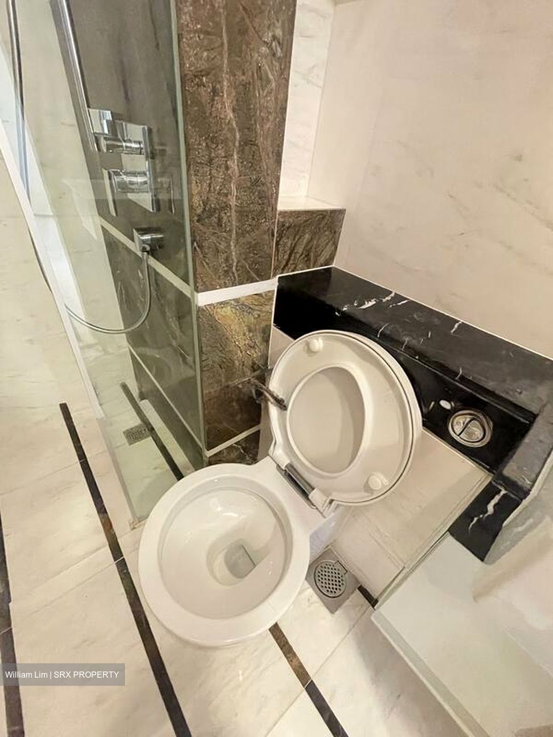 The Vermont On Cairnhill (D9), Apartment #501310681